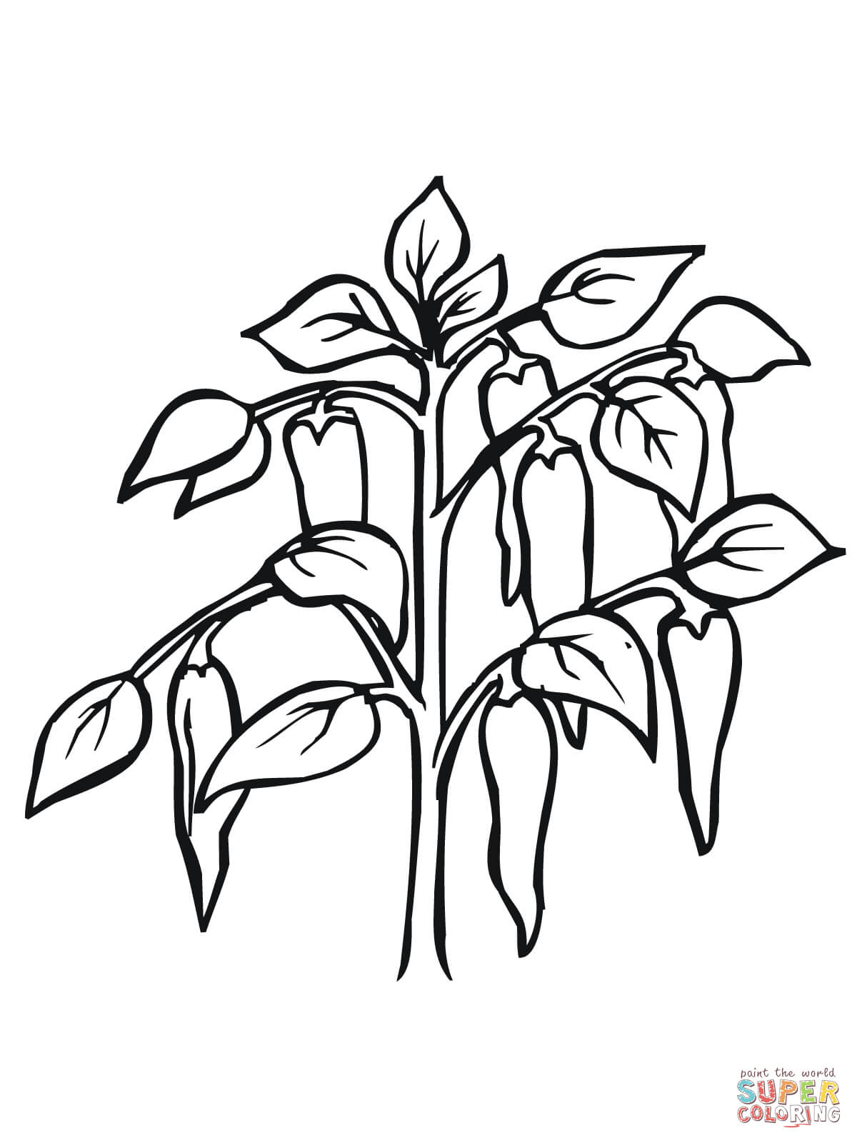 Plant Coloring Pages 1541 ClipArt Best ClipArt Best