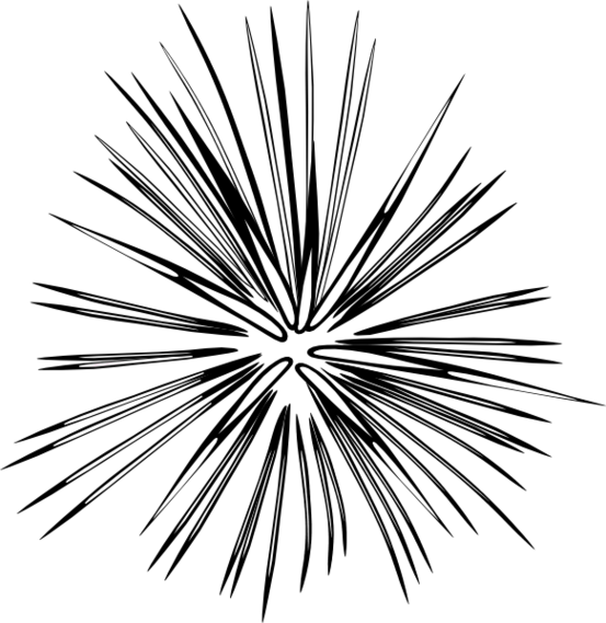 Fireworks Clip Art Black And White