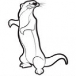 weasel clipart - Free Clipart Images