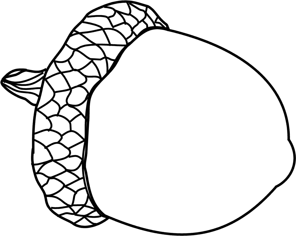 Acorn Line - ClipArt Best