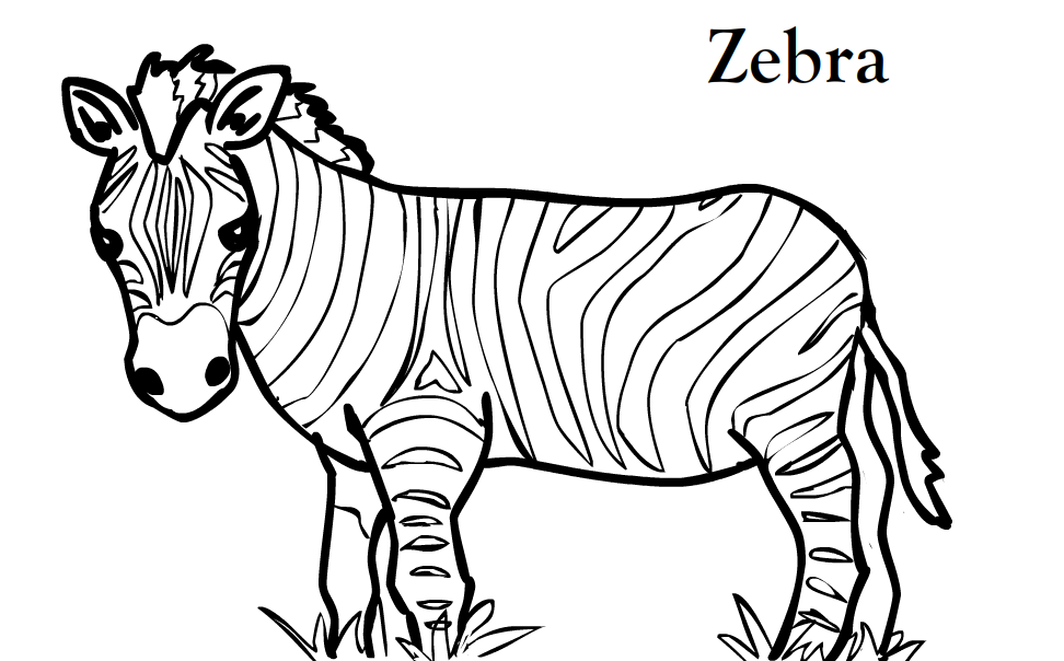 Zebra color clipart