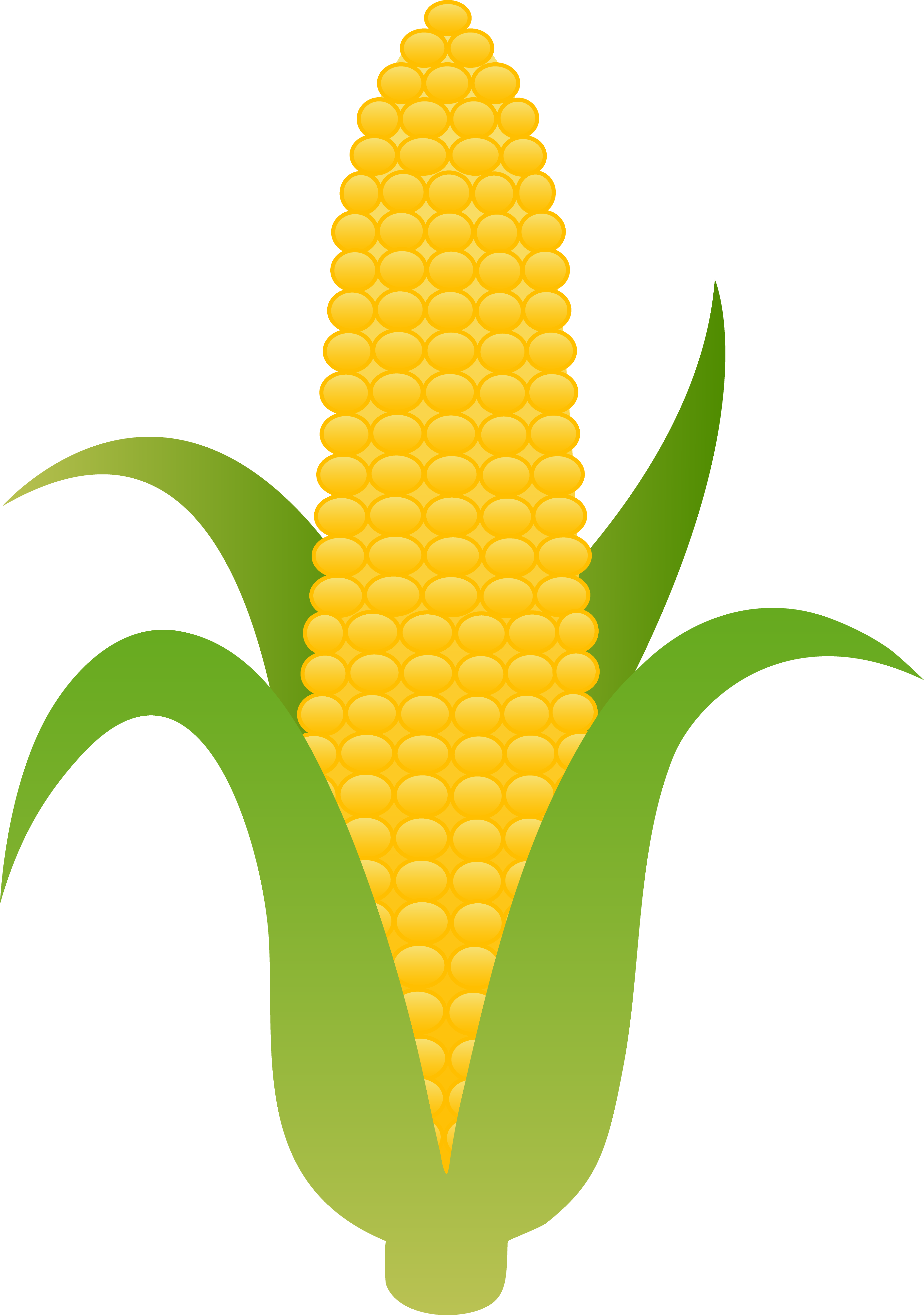 Maize Draw Plant Logo ClipArt Best