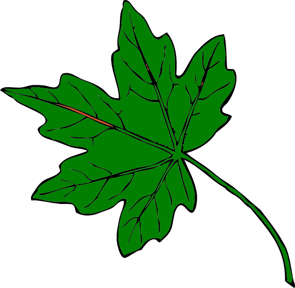 Green Maple Leaf Clip Art - vector clip art online ...