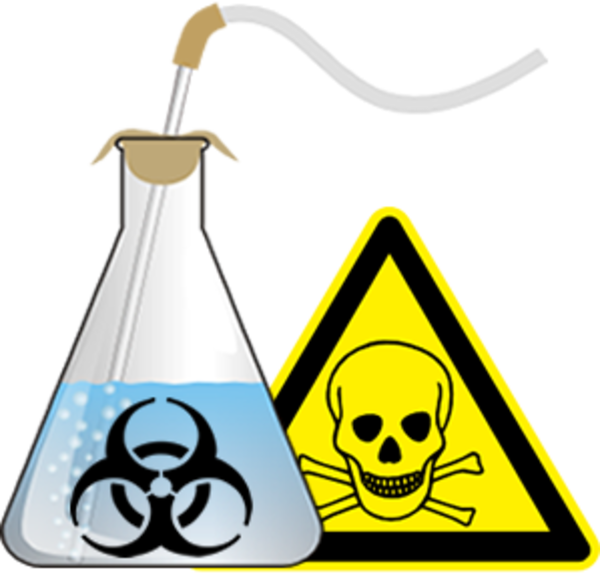 Lab Clipart