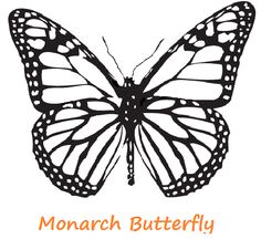 monarch butterfly stencils