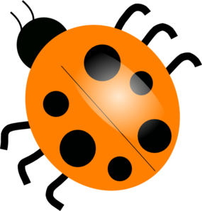 Orange Ladybugs clip art - vector clip art online, royalty free ...