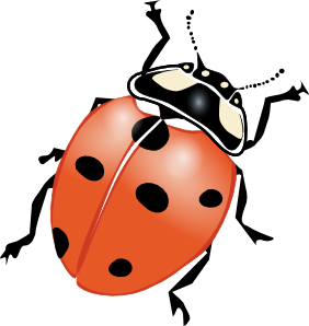 Cartoon Ladybugs