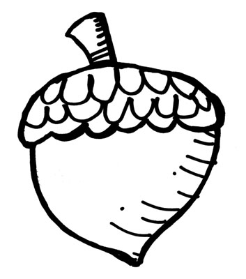 acorn drawing science