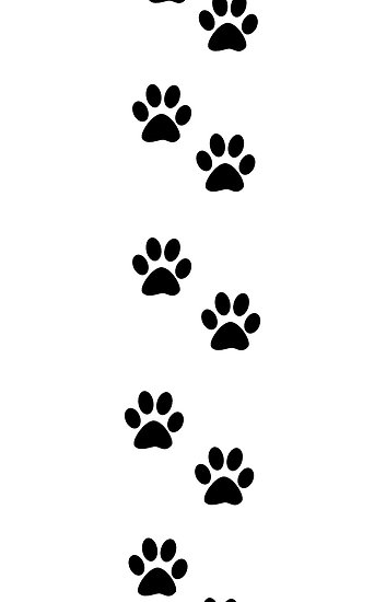 Dog Paws Traces Pawprints White, Black" by sitnica | Redbubble ...
