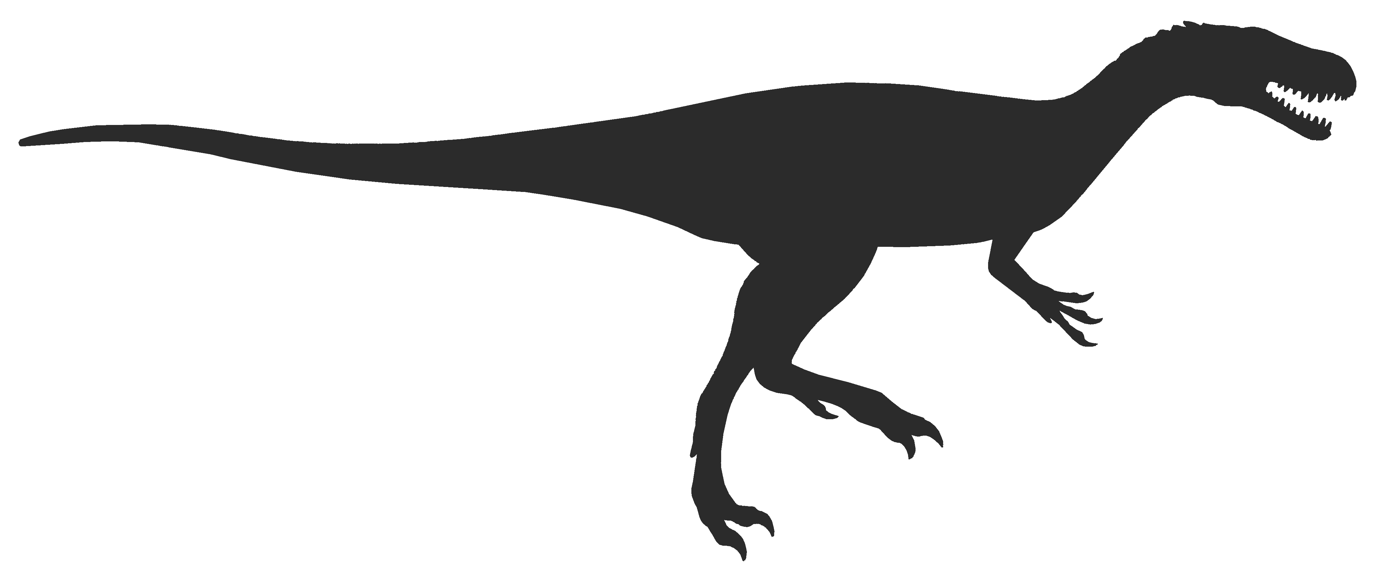 Dinosaur Silhouette