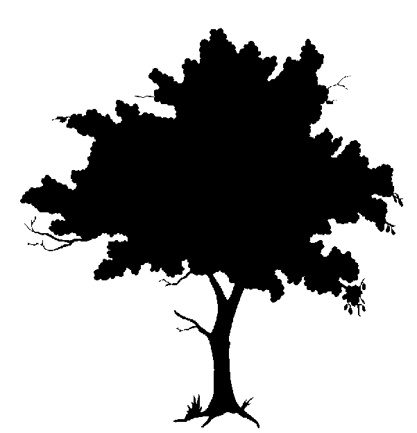 Clipart tree silhouette