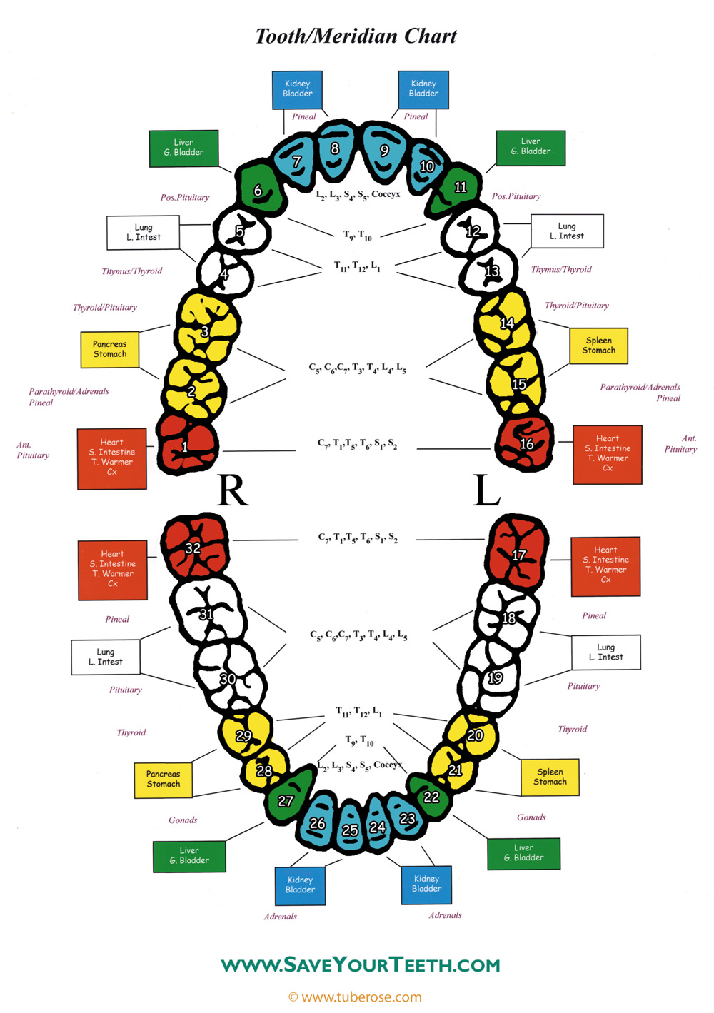 1000+ images about Meridians