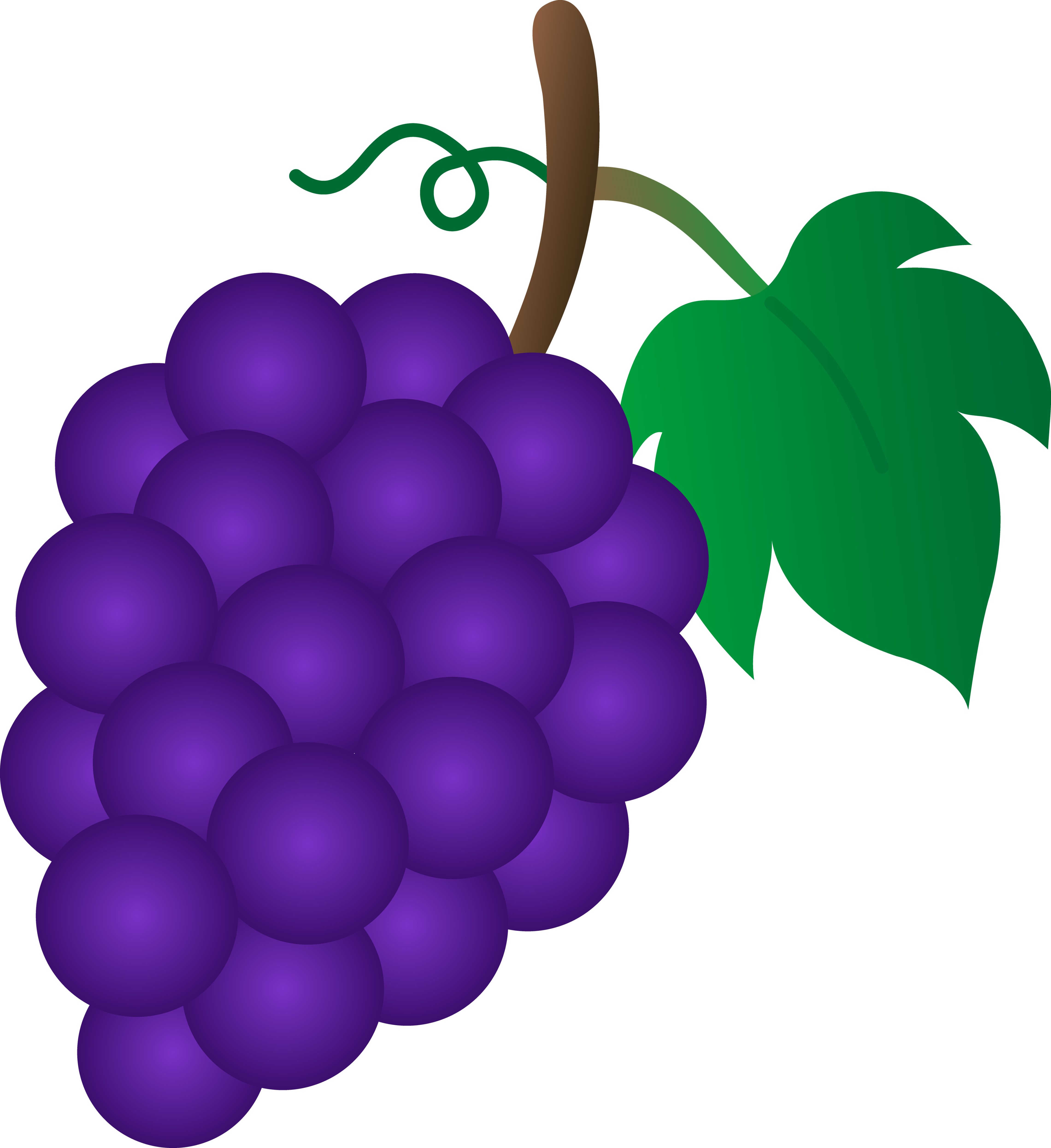 Clip Art Image Of Fruit Grape Clipart - Free to use Clip Art Resource