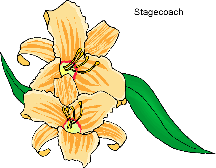 Stagecoach Clipart | Free Download Clip Art | Free Clip Art | on ...