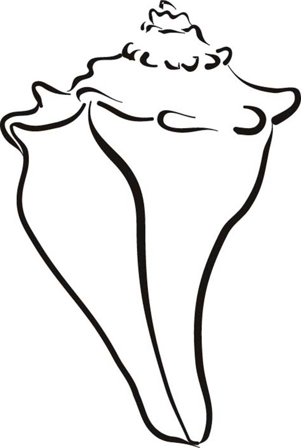 Drawing Of A Conch Shell - ClipArt Best