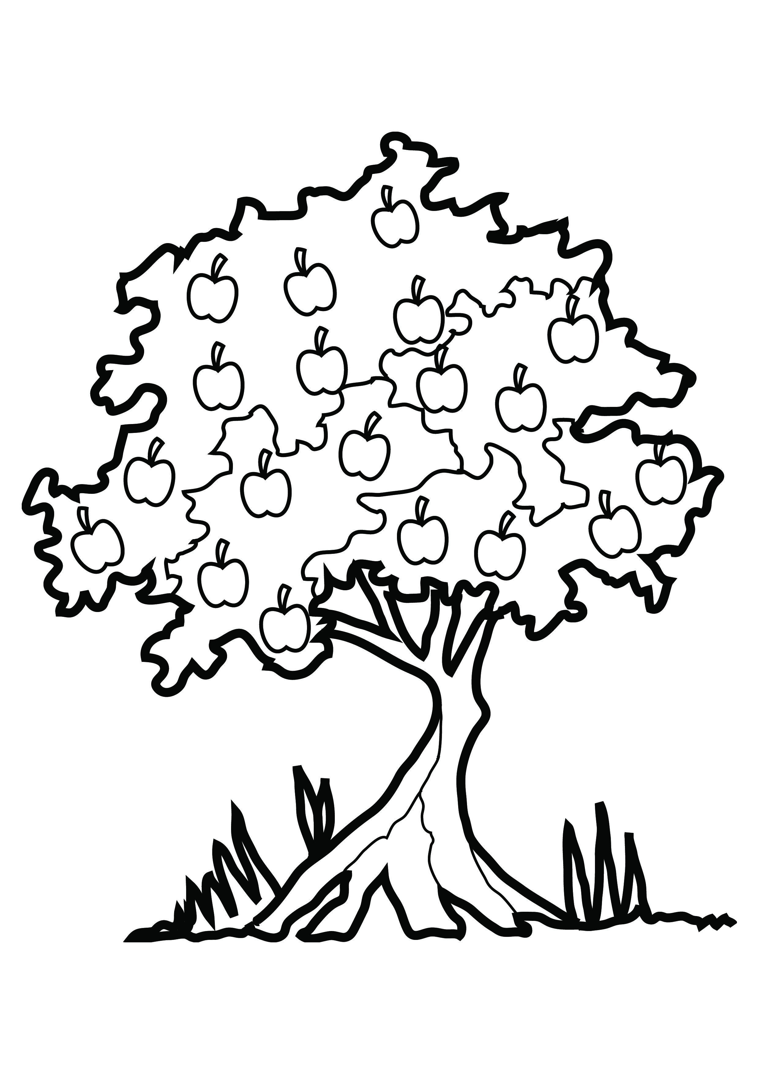 printable-tree-template-coloring-home
