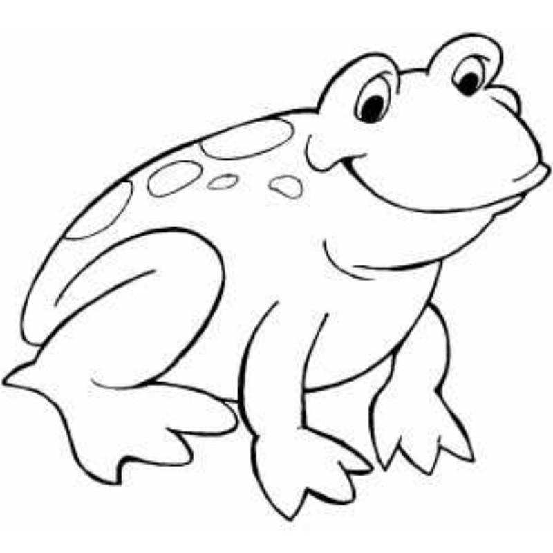 Frog Pics For Kids - ClipArt Best