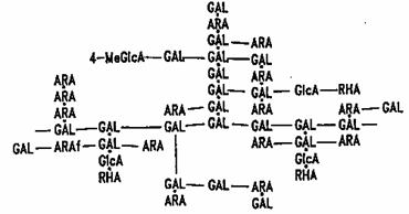 Gautam Pradhan Enhancement Of The Emulsifying Properties Biology Essay