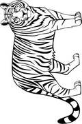 Tigers Coloring Pages Animal for kids - Printable and facts
