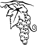 grapevine_vector_thumb.gif