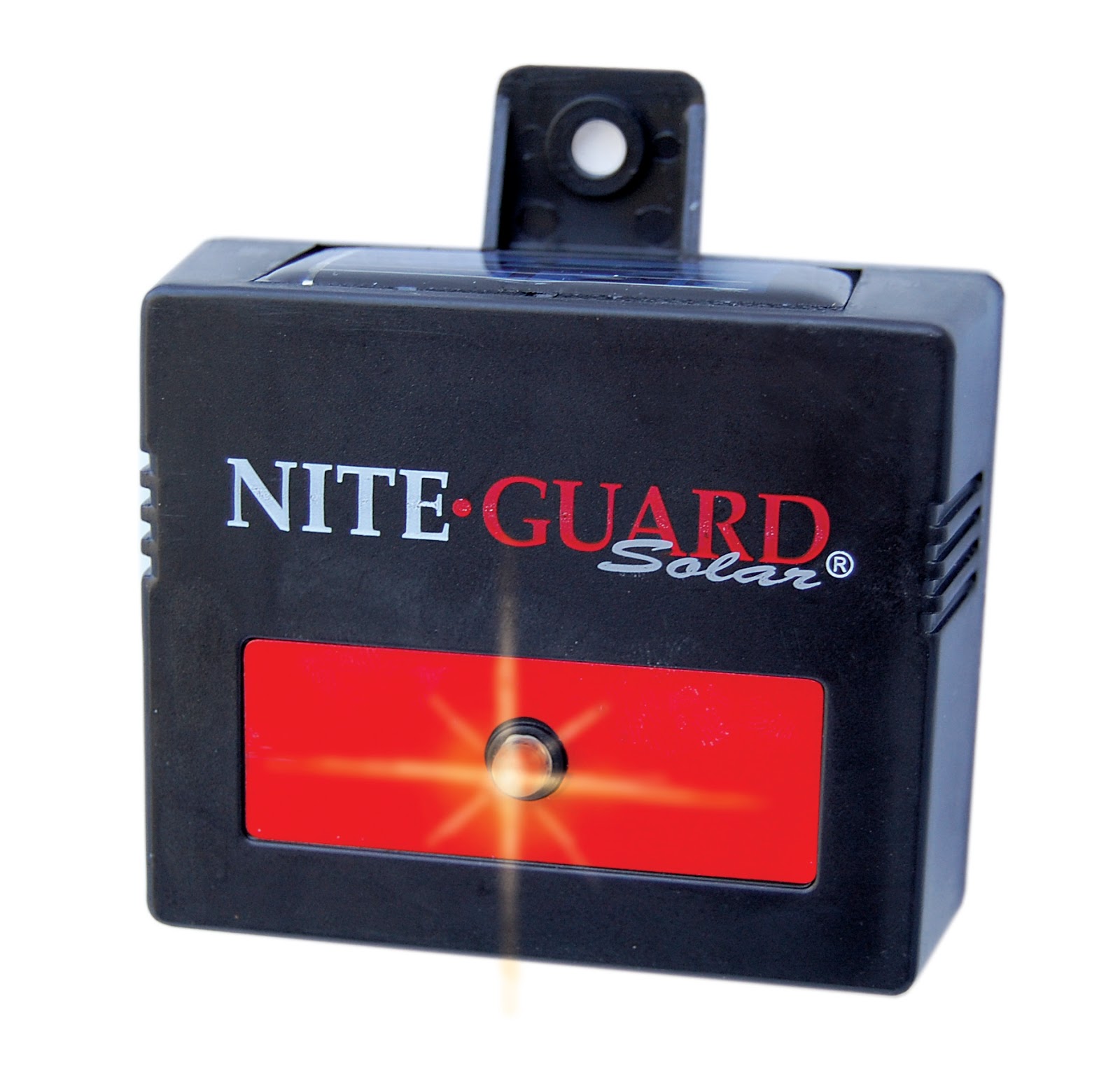 chicken scratch poultry: Nite Guard Solar - Free Giveaway