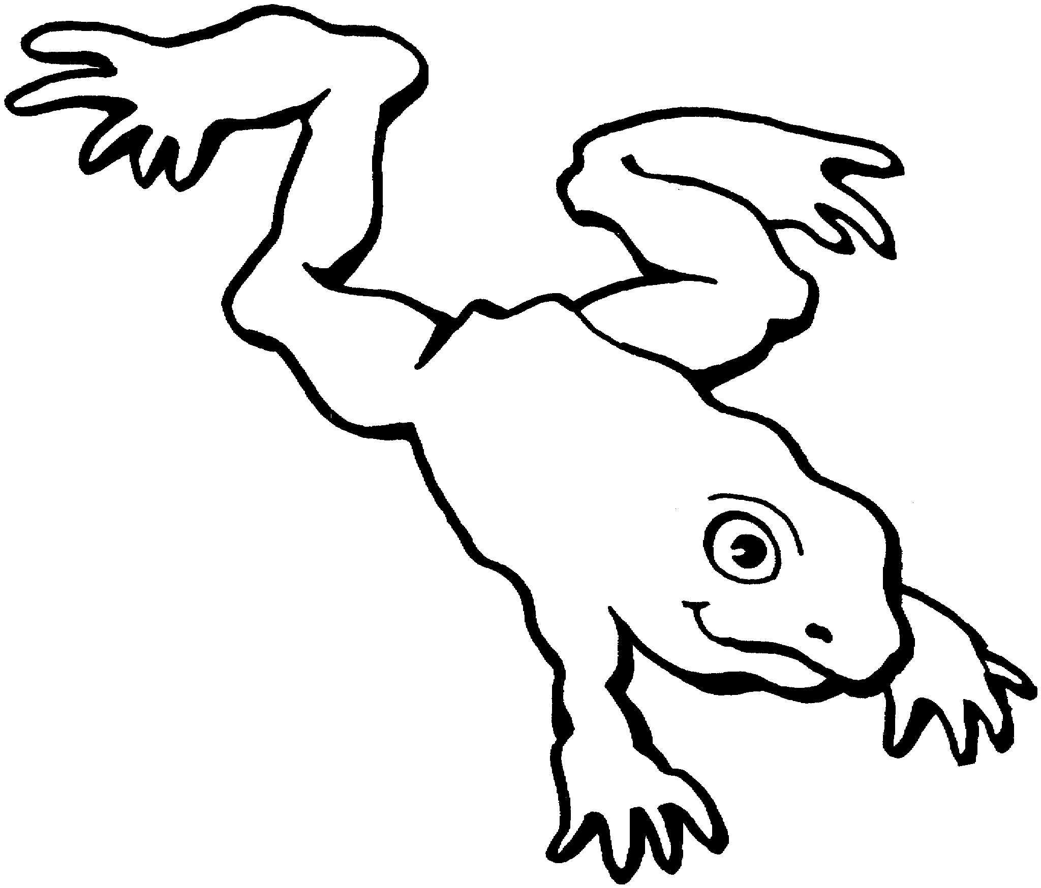 Frog Clipart Black And White - 47 cliparts