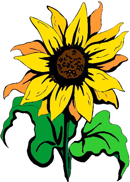 Sun Flower Clip Art | School Clip Art