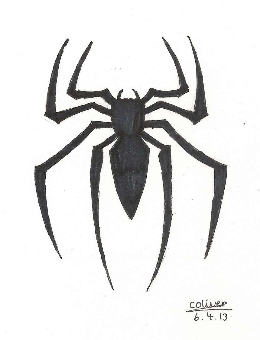 Spider Realistic Art, Pencil Drawing Images