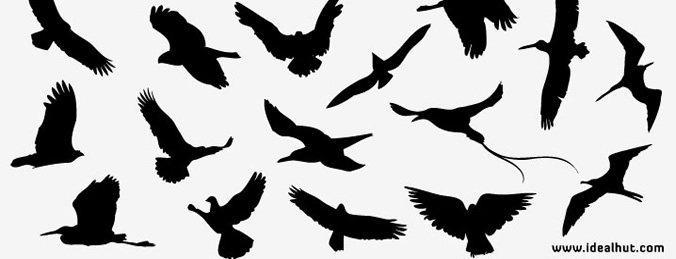 Bird Silhouettes, vector graphics - 365PSD.com