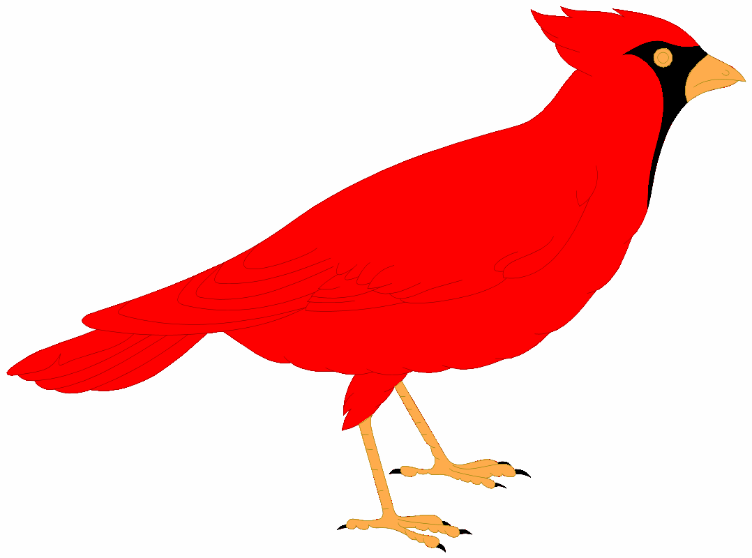 Cartoon Pics Of Cardinals | Free Download Clip Art | Free Clip Art ...