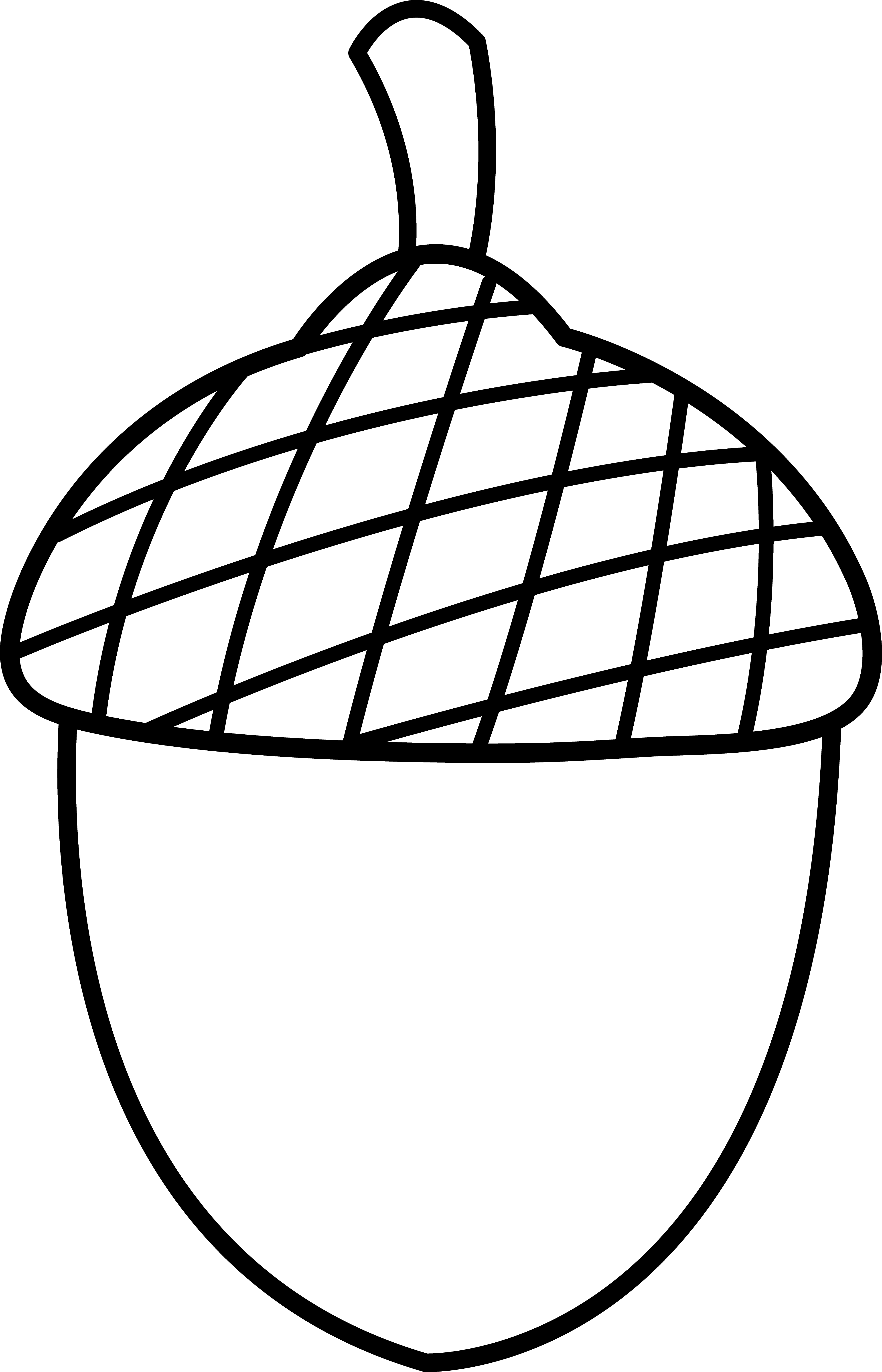 Acorn Clipart Black And White - Free Clipart Images