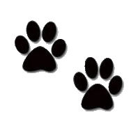 Dogs Cartoon Paw Clipart - Free to use Clip Art Resource