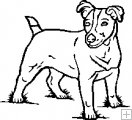 Jack Russell Terrier [Dogs] - $18.00 :: The Drafting Shoppe ...