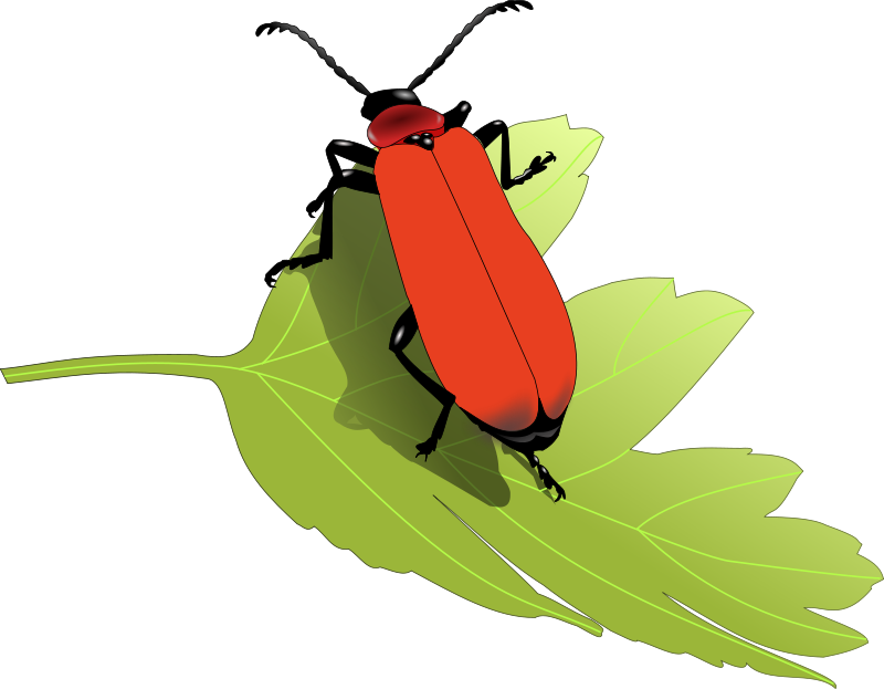Clip Art Insects - ClipArt Best