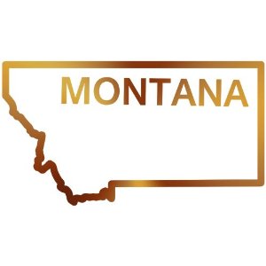 Amazon.com - Montana State Outline Decal Sticker (Metallic Copper ...