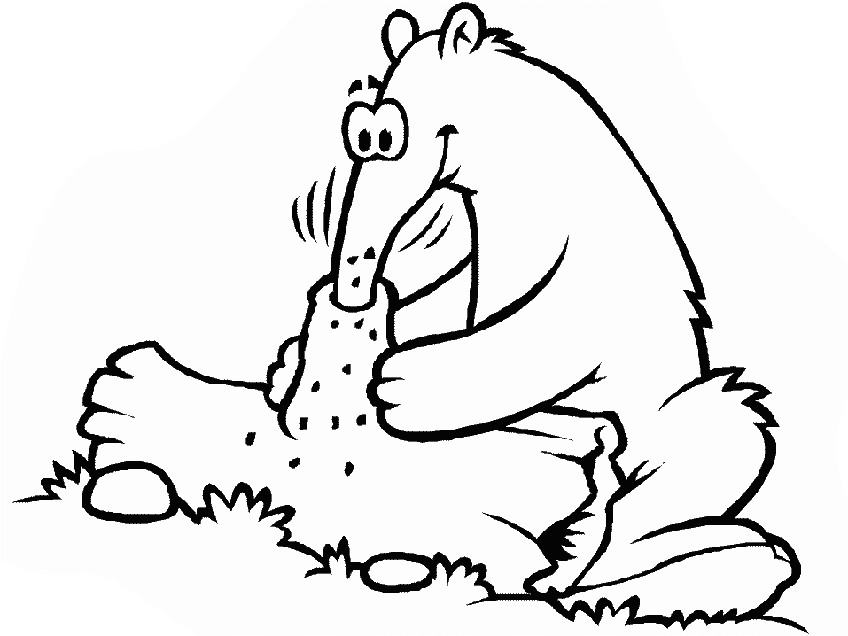 Anteater Colouring Page