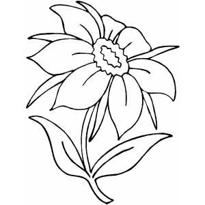 7 petals of flowers Colouring Pages