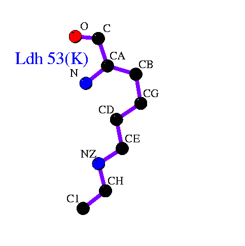 Kinase Assay Protocol