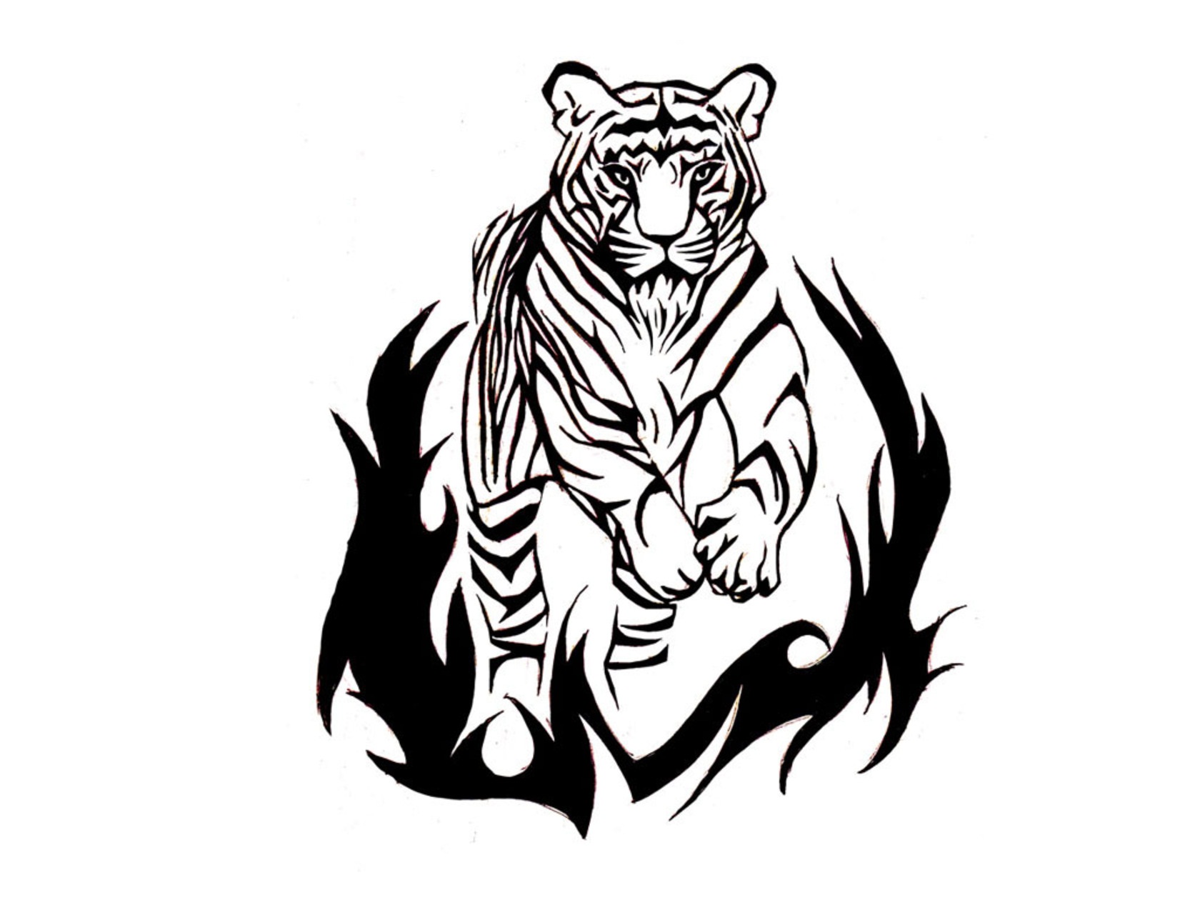 Tiger Eye Drawing | Free Download Clip Art | Free Clip Art | on ...