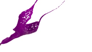 Purple paint pour and splash on black background, Slow Motion ...