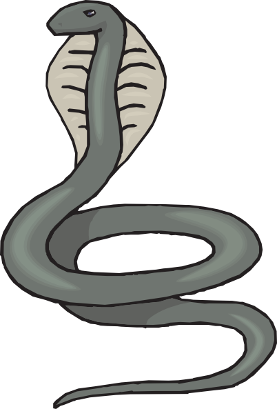 Beautiful Cobra Clipart Image - All For You Wallpaper Site