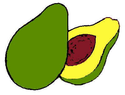 Avocado Clipart Clip Art Avocados Color