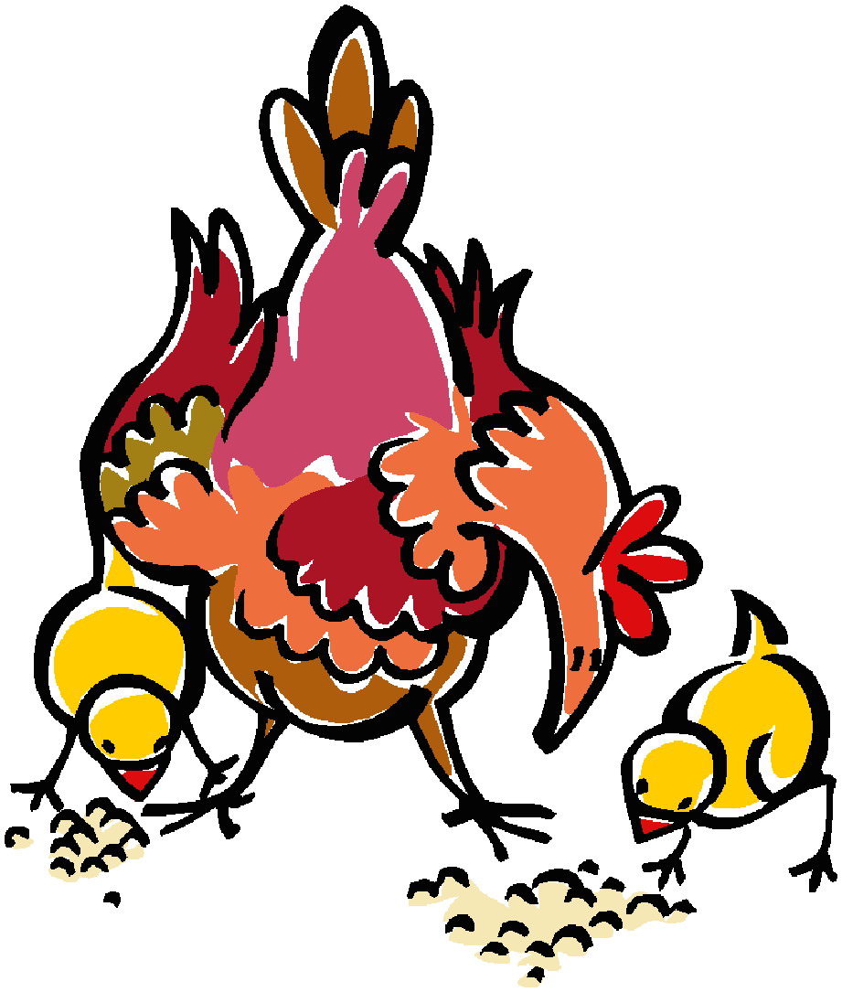 Clip Art - Clip art chickens 496137