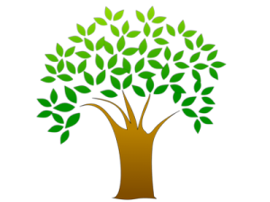 Tree Plantation – Save Trees Save Earth