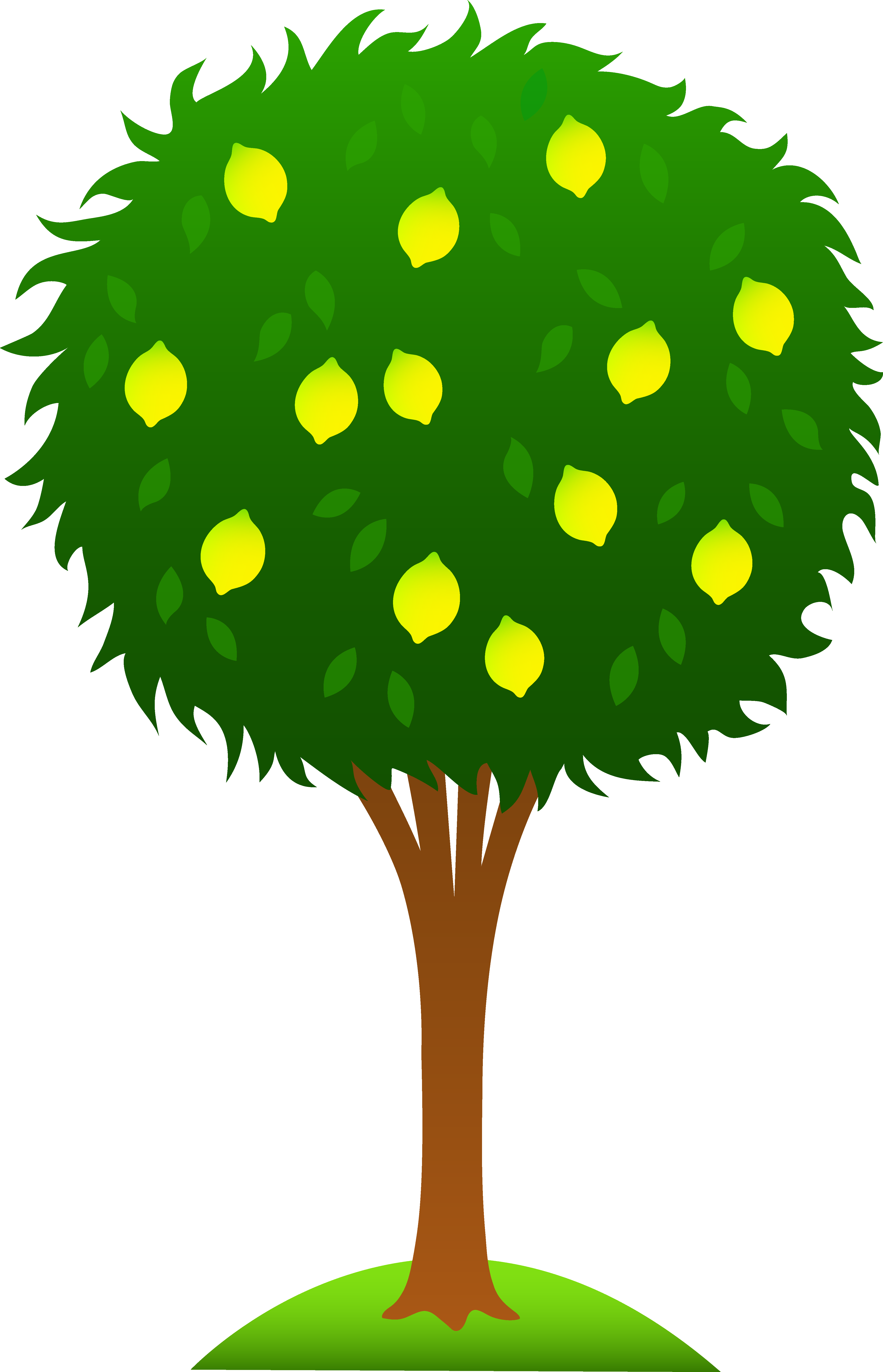 Cute Cartoon Tree - ClipArt Best