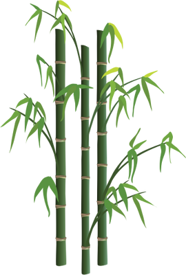 Bamboo PNG Transparent Images | PNG All