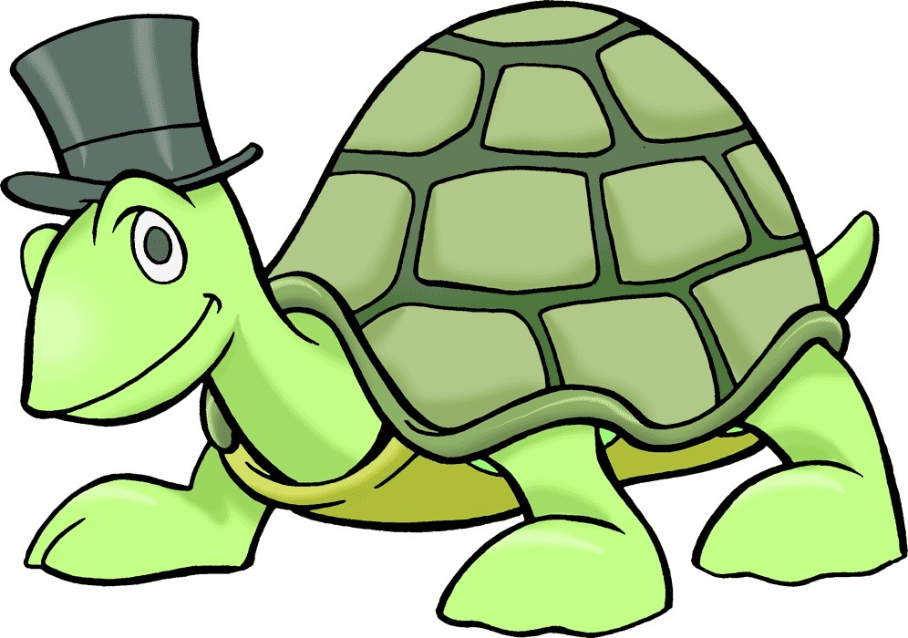 Turtle Clip Art - Tumundografico