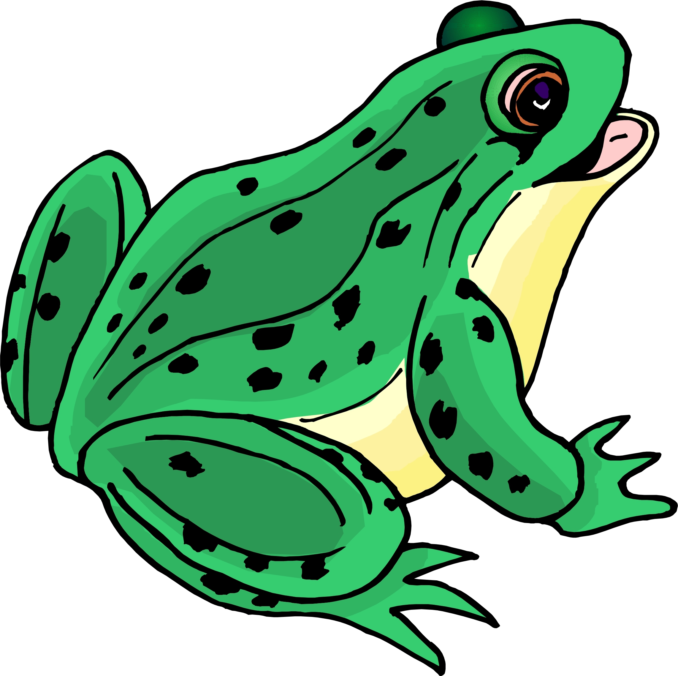 Images Of Cartoon Frog ClipArt Best