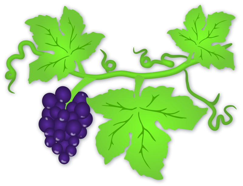 Pictures Of Grape Leaves | Free Download Clip Art | Free Clip Art ...