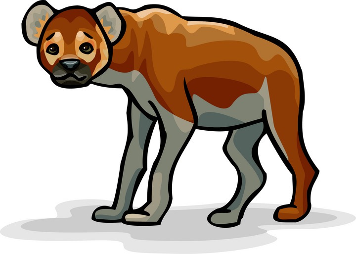 Hyena Clipart